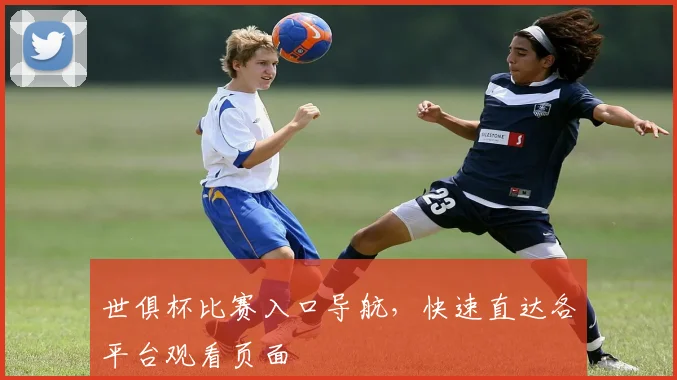 世俱杯比赛入口导航,快速直达各平台观看页面